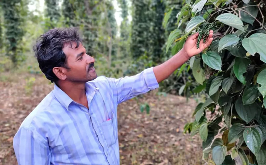 RYTHM sponsored several social entrepreneurs working to provide beneficiaries with sources of income.