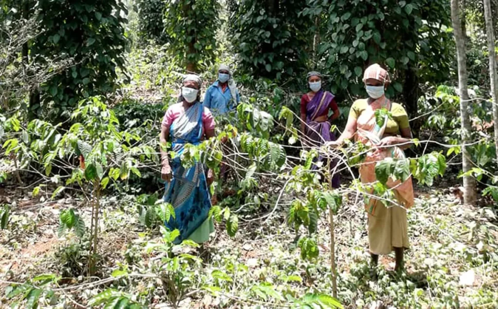 Tribal farmers received facemask contributions to continue working during the lockdown.