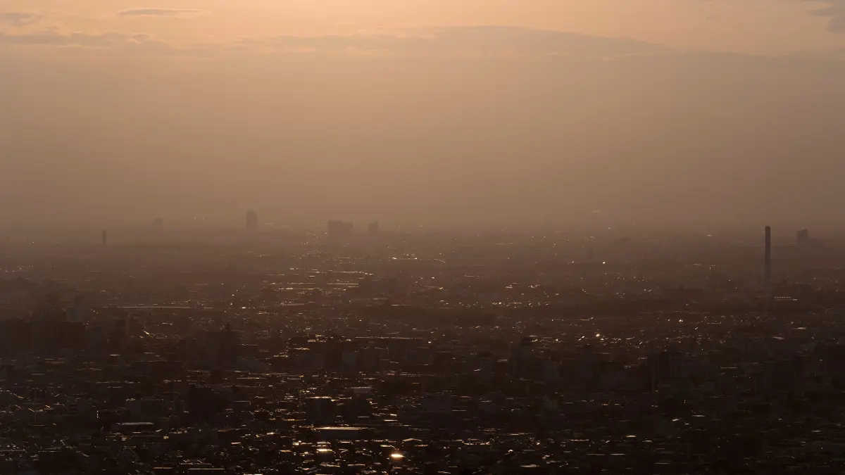 The Harmful Effects of Toxic Air